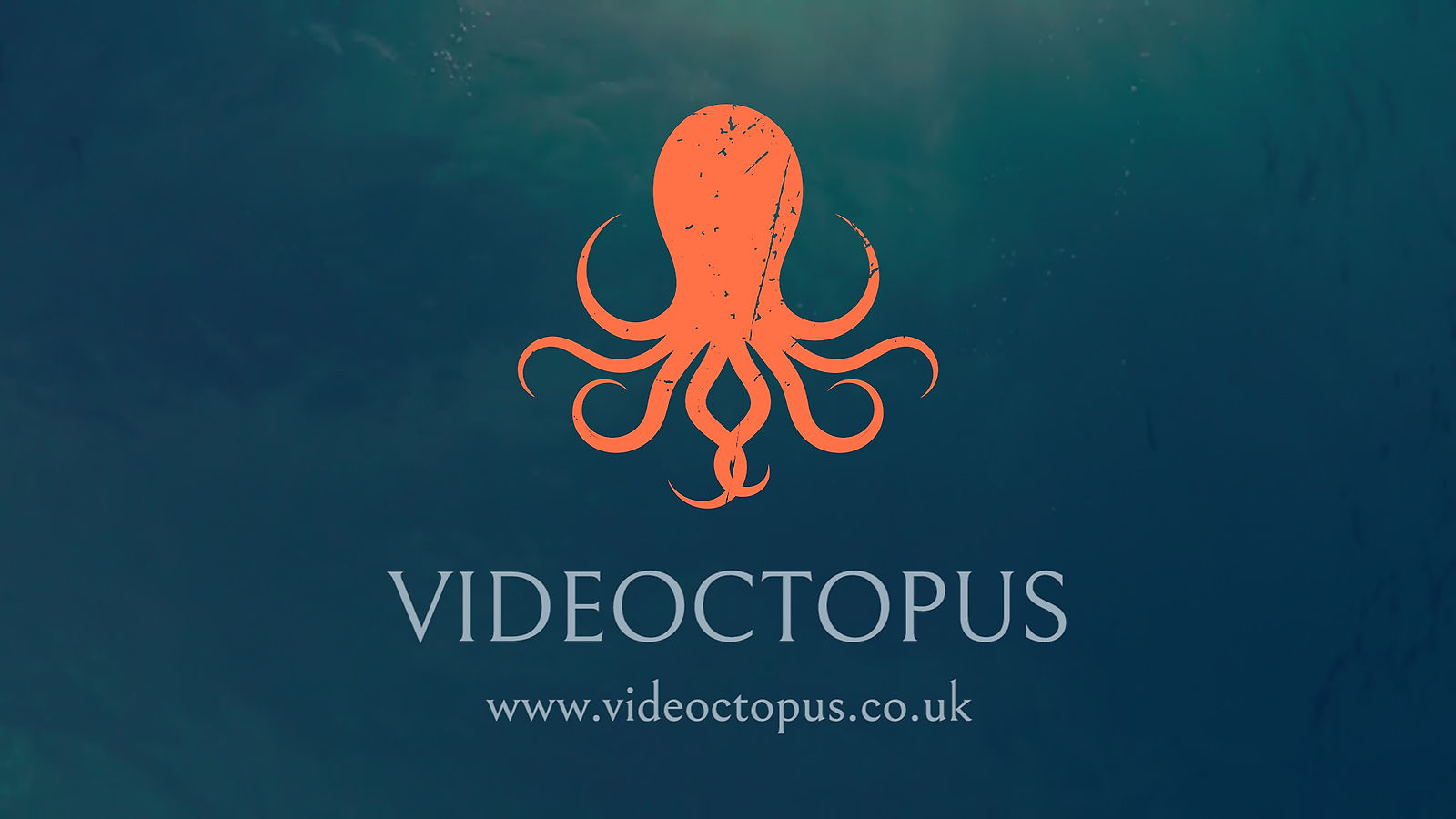 Videoctopus